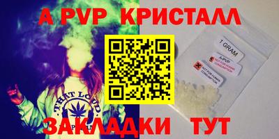 СК Кингисепп