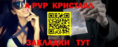 СК Кингисепп
