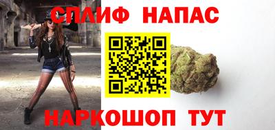 СК Кингисепп
