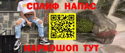 СК Кингисепп
