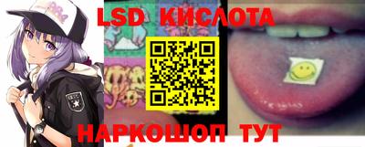 СК Кингисепп