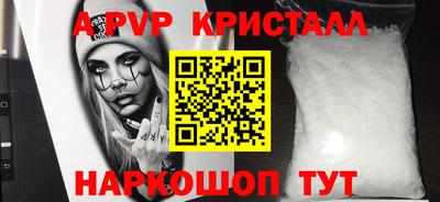 СК Кингисепп