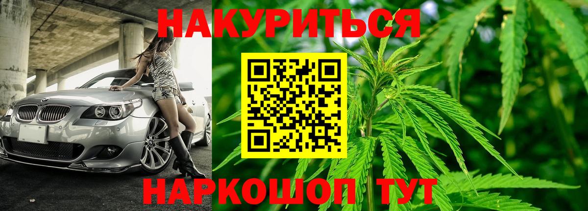 Конопля гибрид Егорьевск